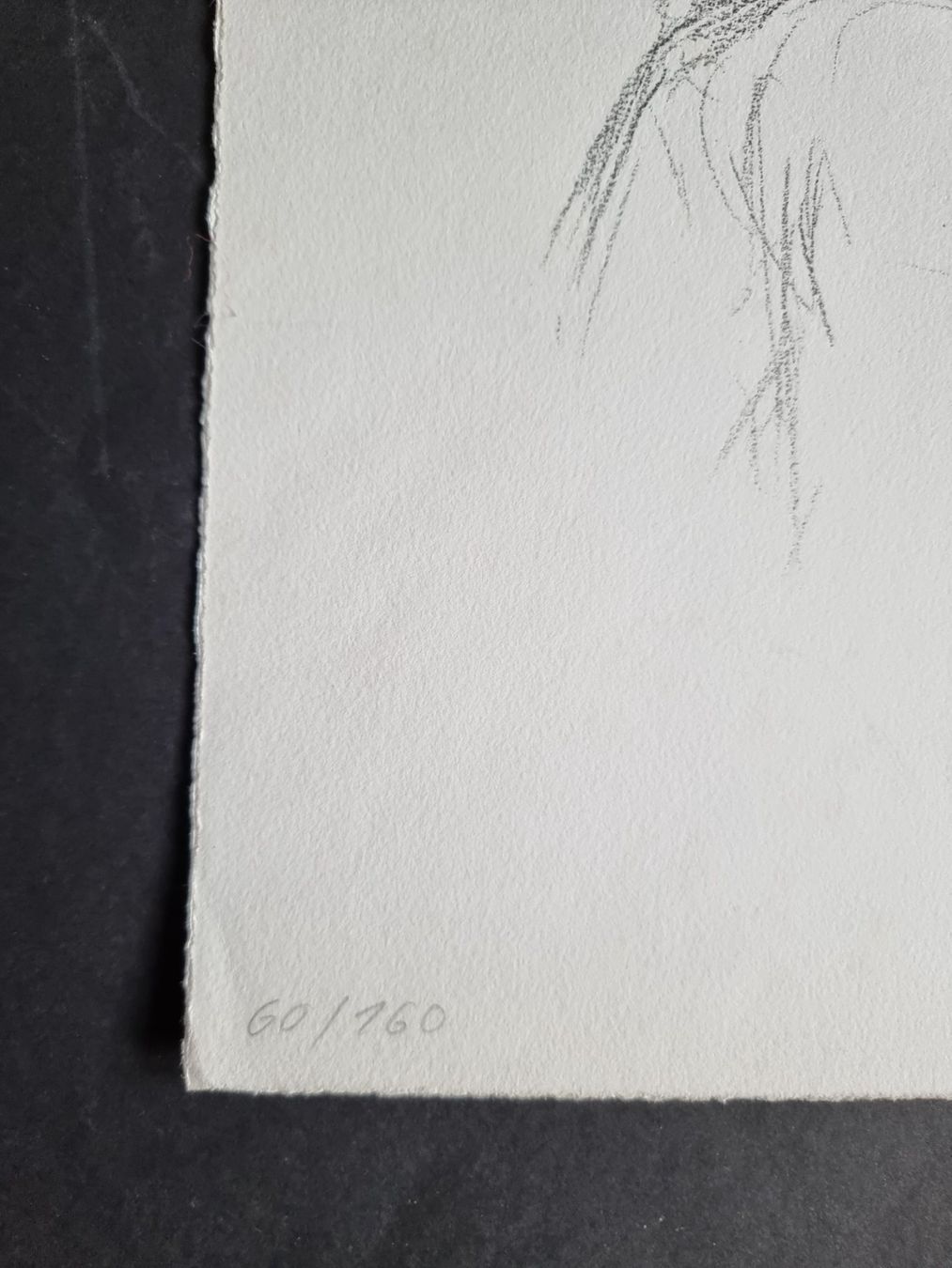 Grafica & Litografie: HEINI WASER LITHOGRAPHIE SIGNIERT NUMMERIERT – Usato da Gersau venduto da kunst-online 2