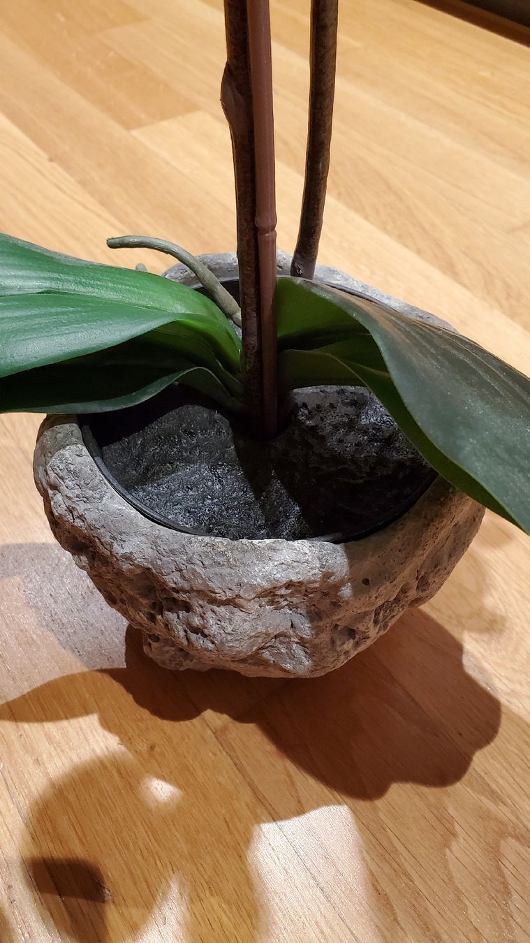 Alle Dekorationen: Künstliche Orchidee weiss mit Steinübertopf – Gebraucht aus Uster von lof_2xmz 1