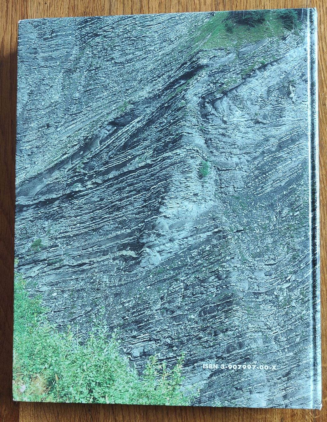 Libri: Die mineralischen Rohstoffe der Schweiz – Usato da Herbetswil venduto da Keltka9 4