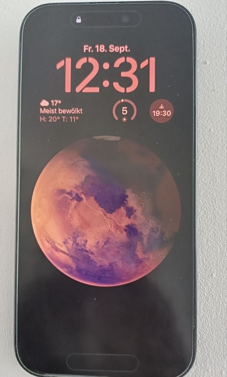 Apple Telefoni cellulari / Smartphones: iPhone 16 Pro | 256 GB – Usato da Wil SG venduto da IB0700 1