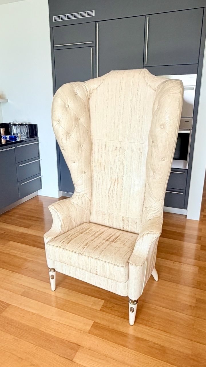 Sessel: Visionnaire Alice Ohrensessel Aalleder IPE Cavalli 165cm – Gebraucht aus Zürich von sr.zurich 1