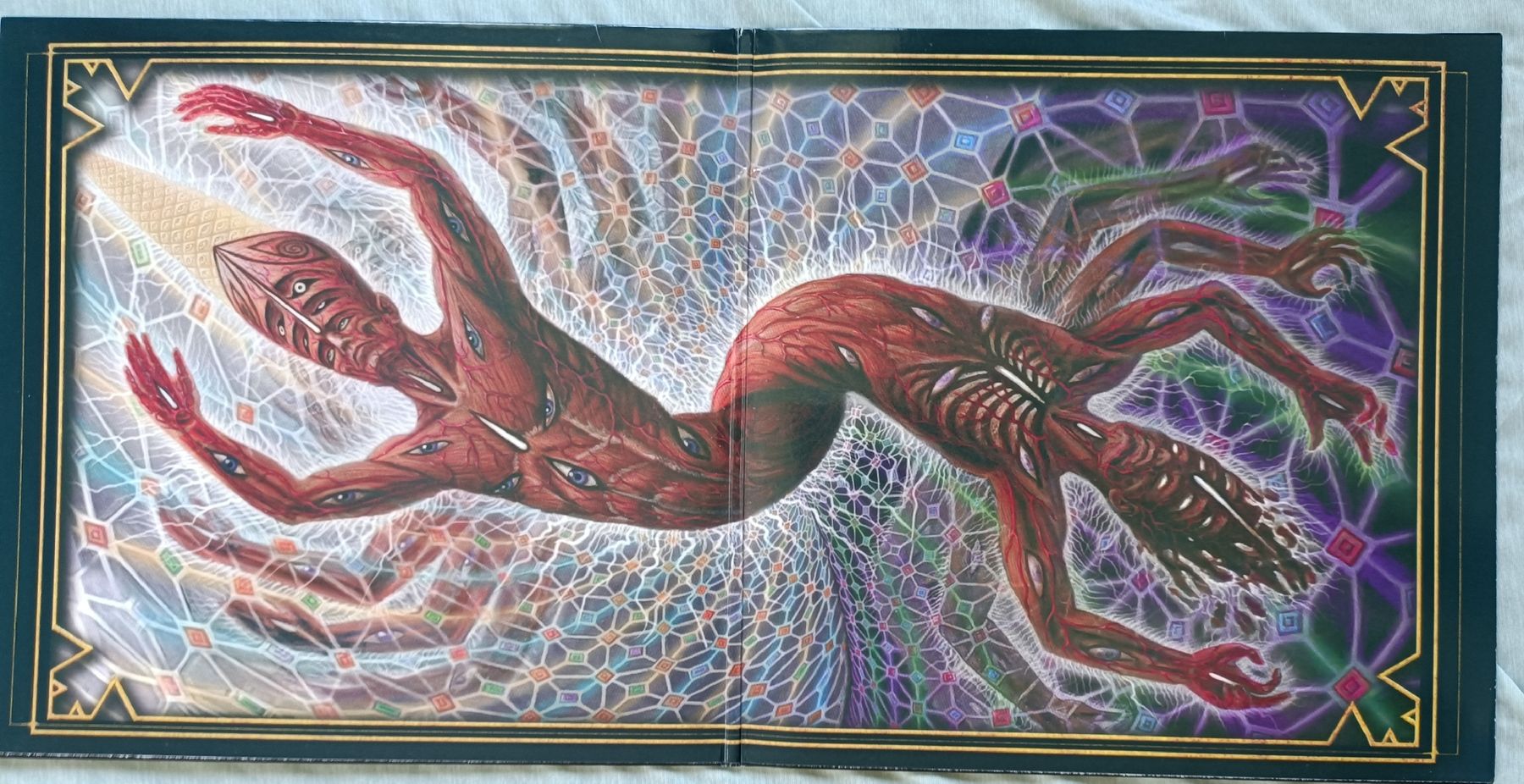 Vinyles: TOOL - Fear Inoculum 2CoLP – D'occasion à Luzern par cryptonic79 2