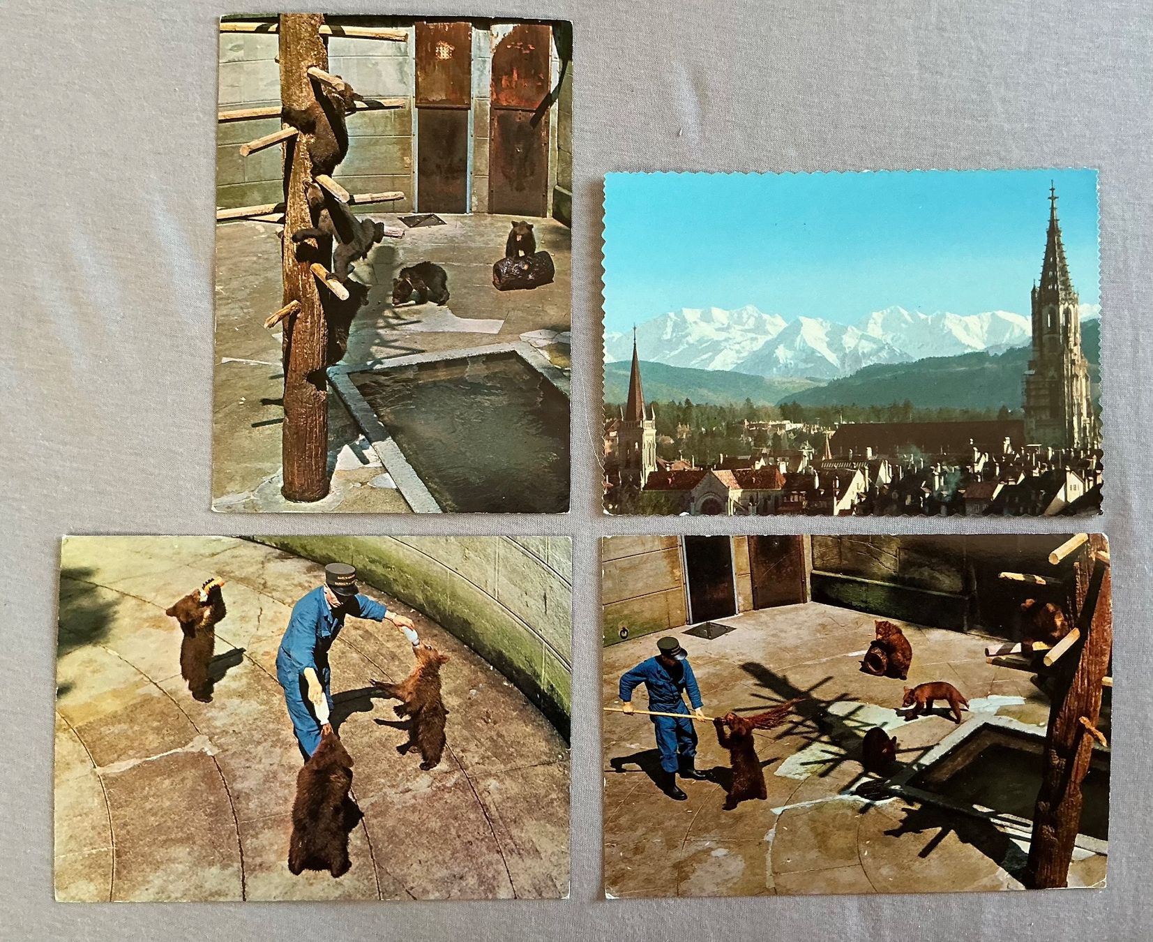 Cartoline postali: Ansichtskarten / Postkarten vom alten Bärengraben und Bern – Usato da Stettlen venduto da togram4