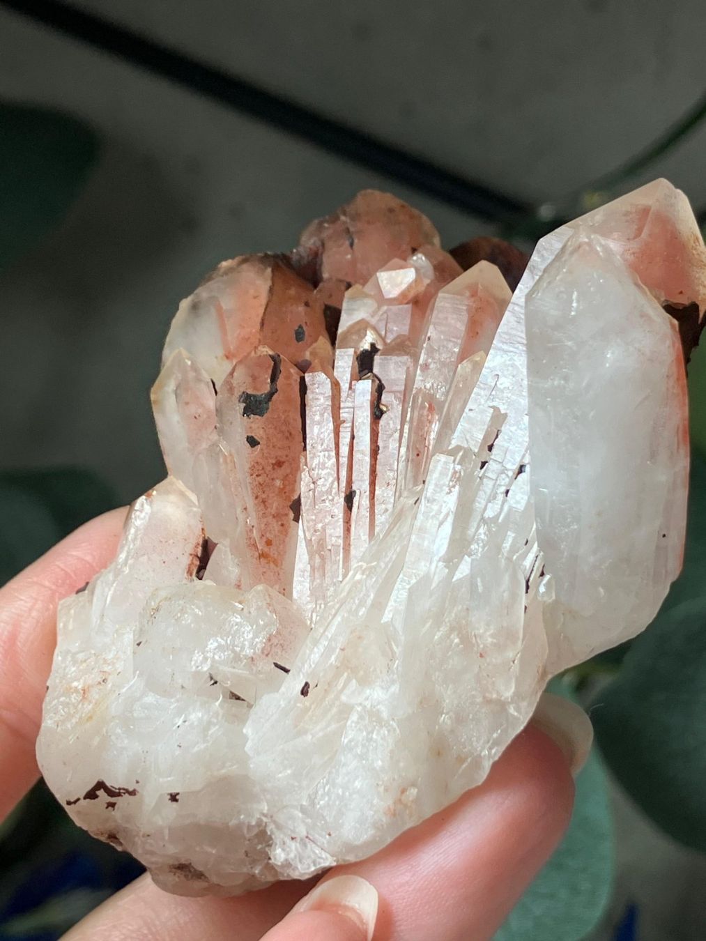 Mineralien & Heilsteine: Roter Quarz-Cluster (Gruppe) – Neu (gemäss Beschreibung) aus Neuheim von m.hald 1