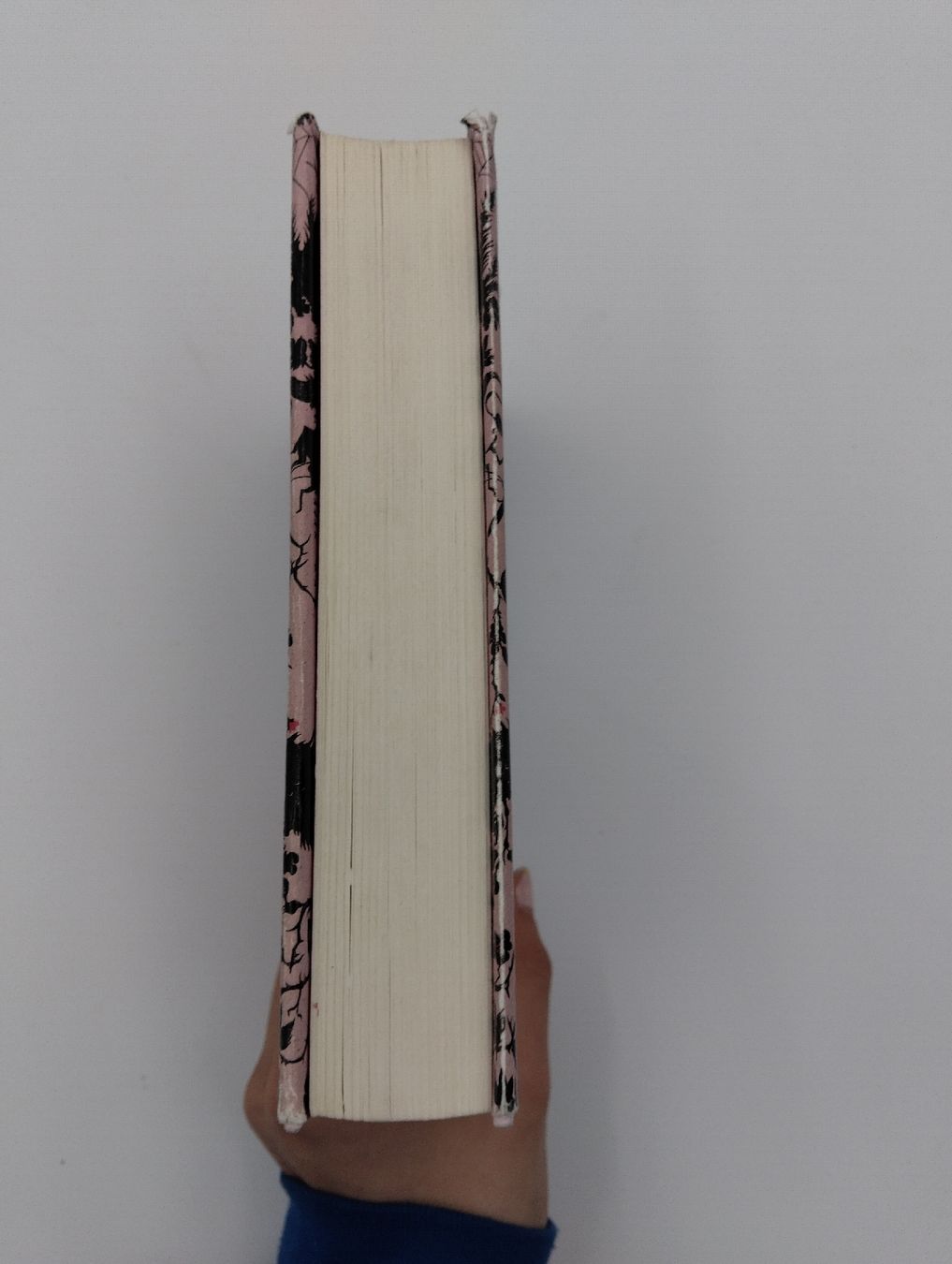 Libri: Rubinrot - Liebe geht durch alle Zeiten – Usato da Zofingen venduto da Lechim01 2