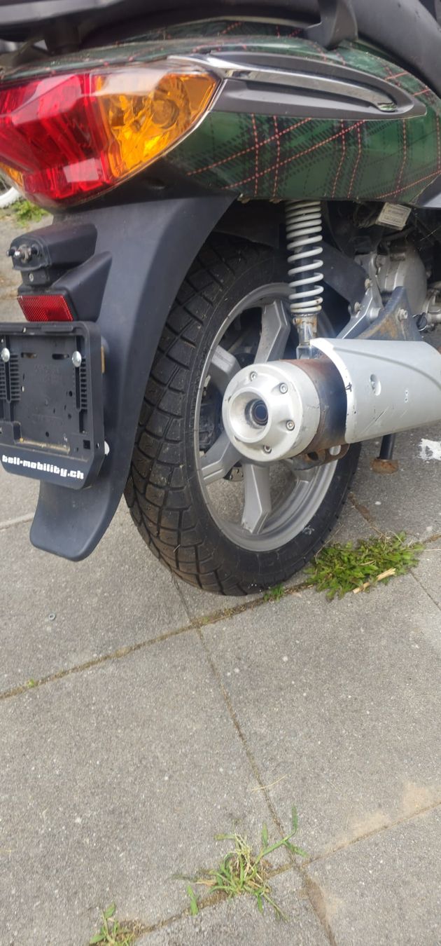 Tell Scooters: TELL Logik 125 – Gebraucht aus Huttwil von Gucci-77 1