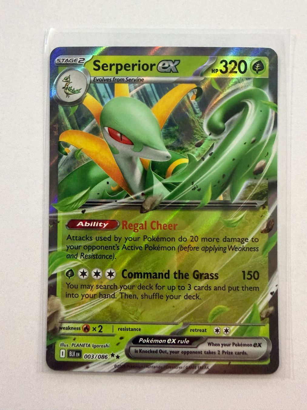 Pokémon Carte collezionabili: Pokemon Serperior EX 003/086 Black Bolt EN – Nuovo (secondo la descrizione) da Weingarten-Kalthäusern venduto da McGmavlo