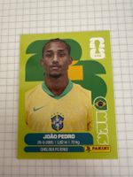 Panini Sticker WM 2026, BRA 16 Joao Pedro