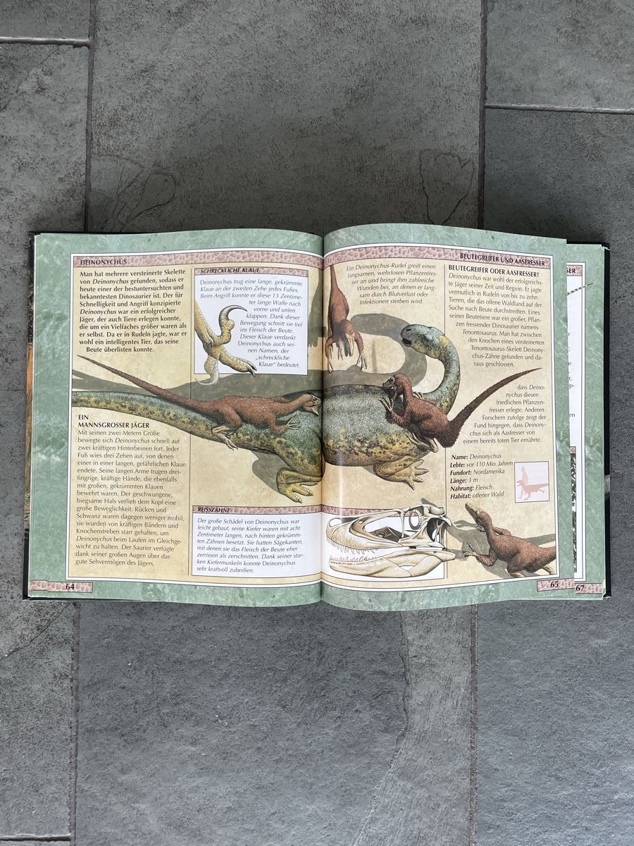 Libri: Dinosaurier Lexikon  – Usato da Zollikon venduto da yul_5wgc 3