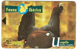 Telefonkarte Spanien Urogallo Auerhahn