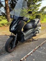 Yamaha yp 250