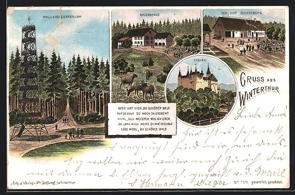 Cartoline postali: Litho Winterthur, Wald, Aussichtsthurm,  – Usato da Berlin venduto da bartko-reher