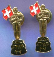 2 Pins  STAR TV  Oscar