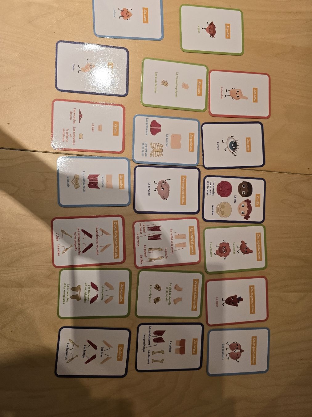 Spielzeuge: Aimant:  Le corps humain et des saisons – Gebraucht aus Bossonnens von zla_cg8d 5