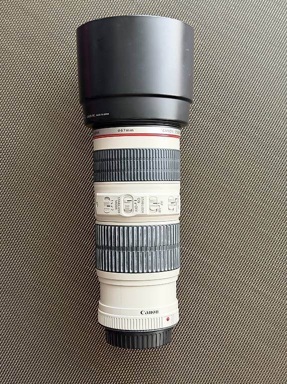 Canon Obiettivi: Canon EF 70-200mm 4.0 L IS USM – Usato da Horgen venduto da roligraf