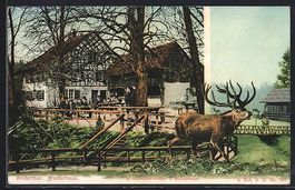 Winterthur, Partie am Gasthaus Bruderhau