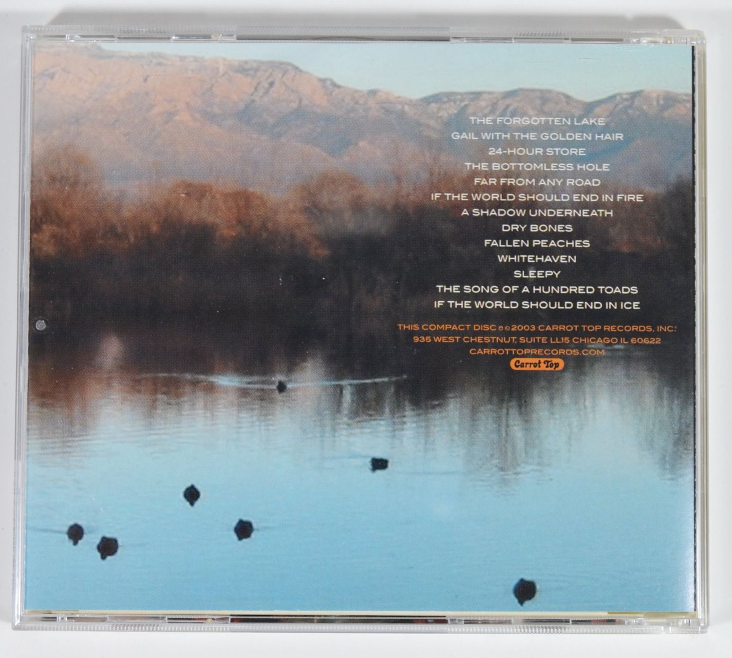 CD: CD: THE HANDSOME FAMILY - Singing Bones – Nuovo (secondo la descrizione) da Frenkendorf venduto da Yard-Sale-2000 1