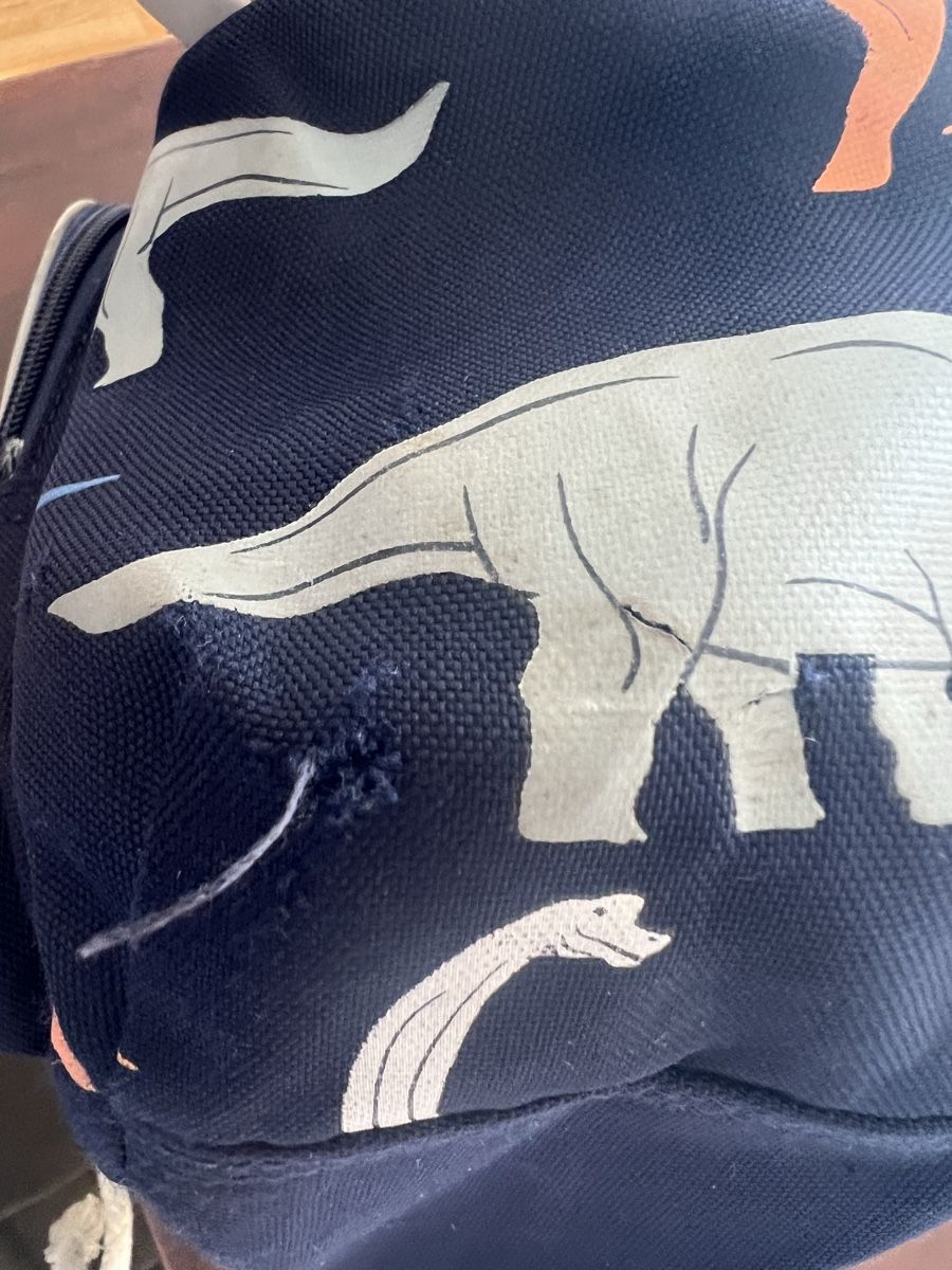 Kindertaschen: Kinderrucksäcke 2 Stck. Beckmann, GAP – Gebraucht aus Zollikon von Peiler01 3