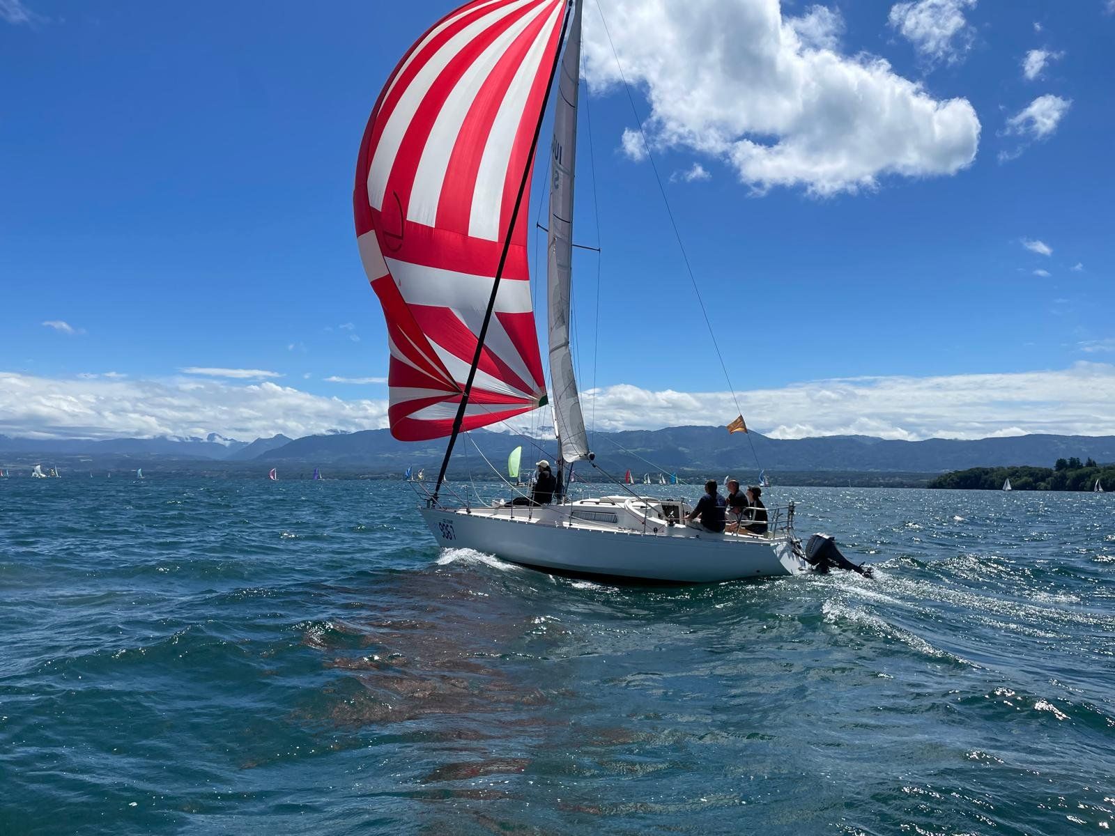 Sonstiges: Voilier Scampi 30 albin marine – Gebraucht aus Bellevue von yoa_6gf6