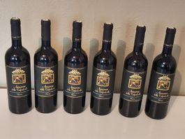 6 FL. Amarone della Valpolicella 2013