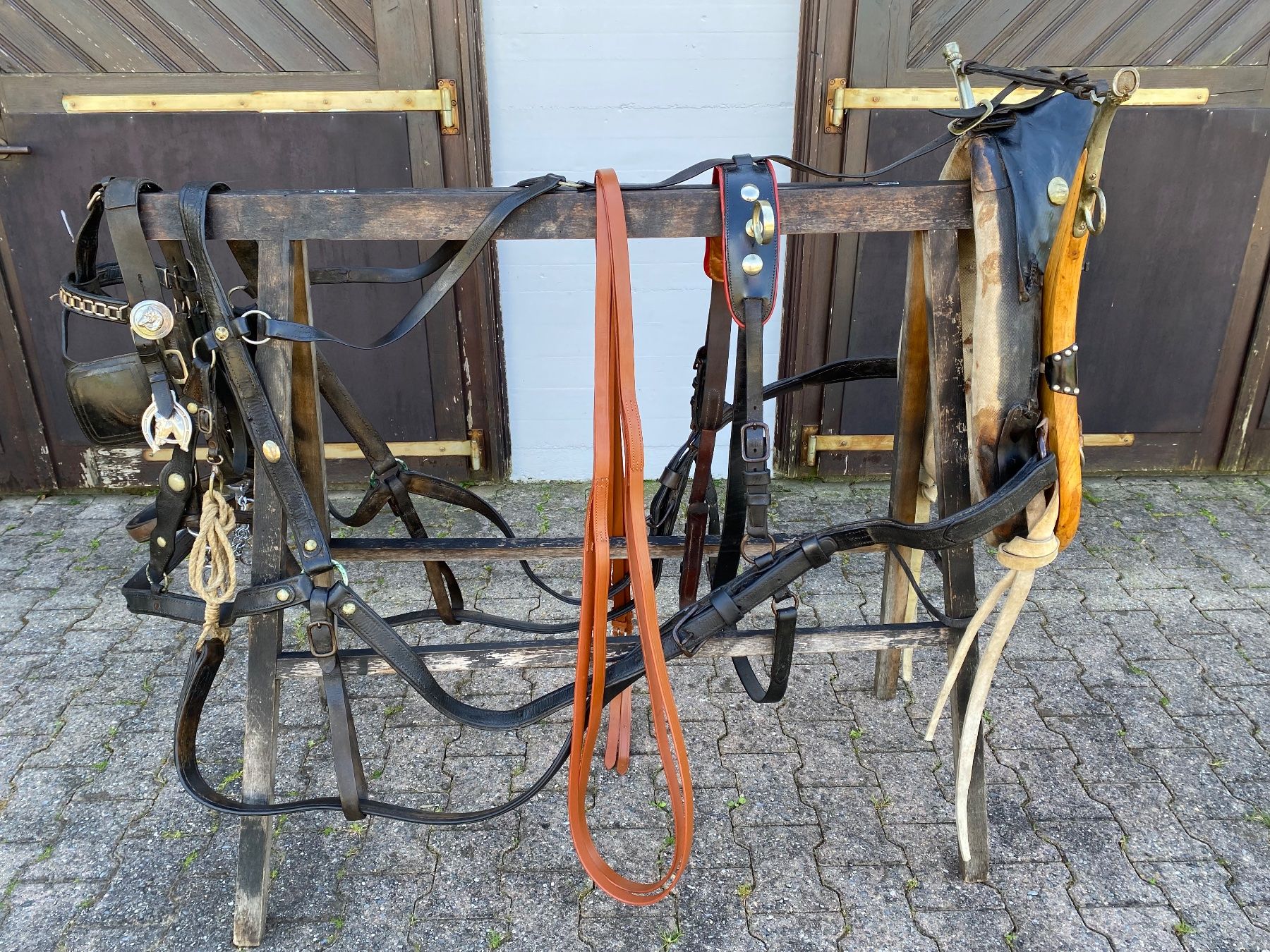 Carrozze: schönes Bündnergeschirr – Usato da Feldbach venduto da Fea1 3
