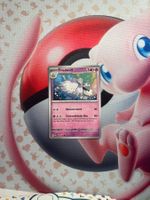 Friedwuff Pokemon Karte Holo/Reverse Holo/Common