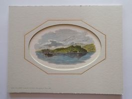 Bielersee Petersinsel Xylographie