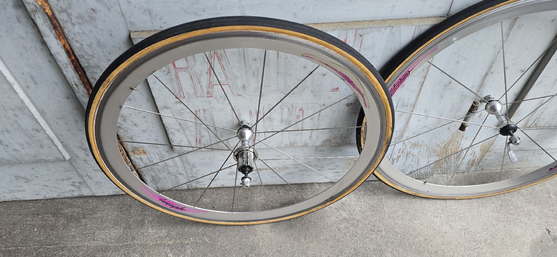 Campagnolo Pezzi di ricambio: Campagnolo Shamal Titanium – Usato da basel venduto da Propain 2