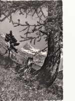 Krummhörnli ca. 1950