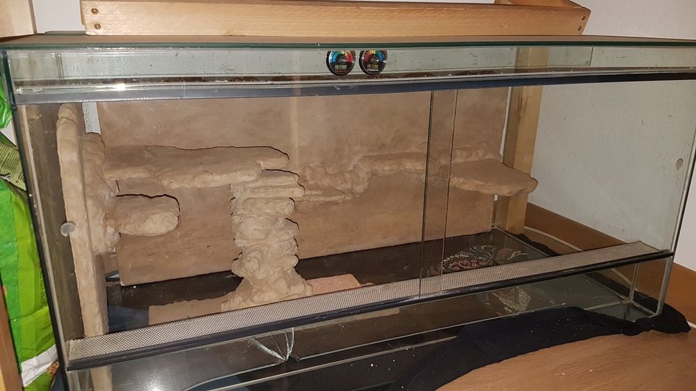 Terrarium aus Glas Kaufen auf Ricardo