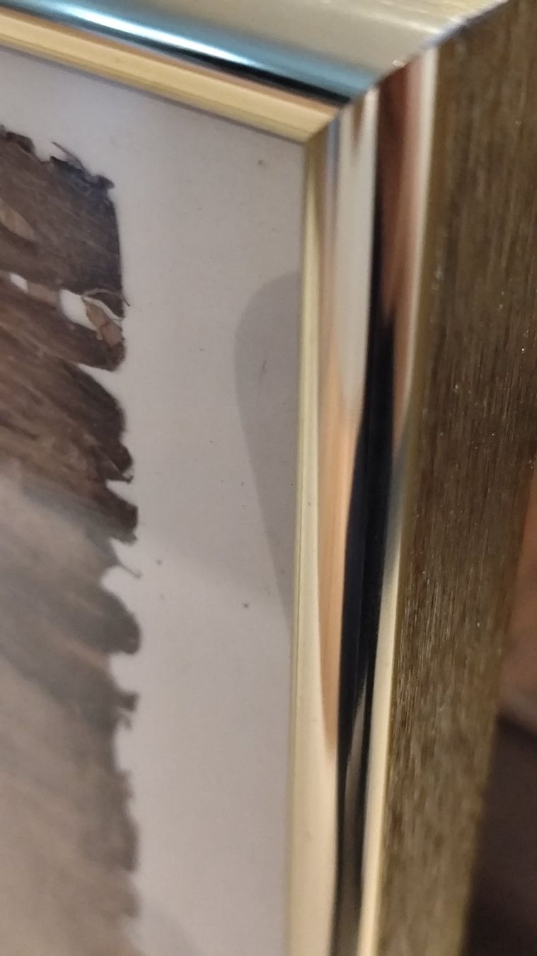 Foto & Immagini: Papyrus Bild Abu Simbel – Usato da Ruggell venduto da Martefilm 6