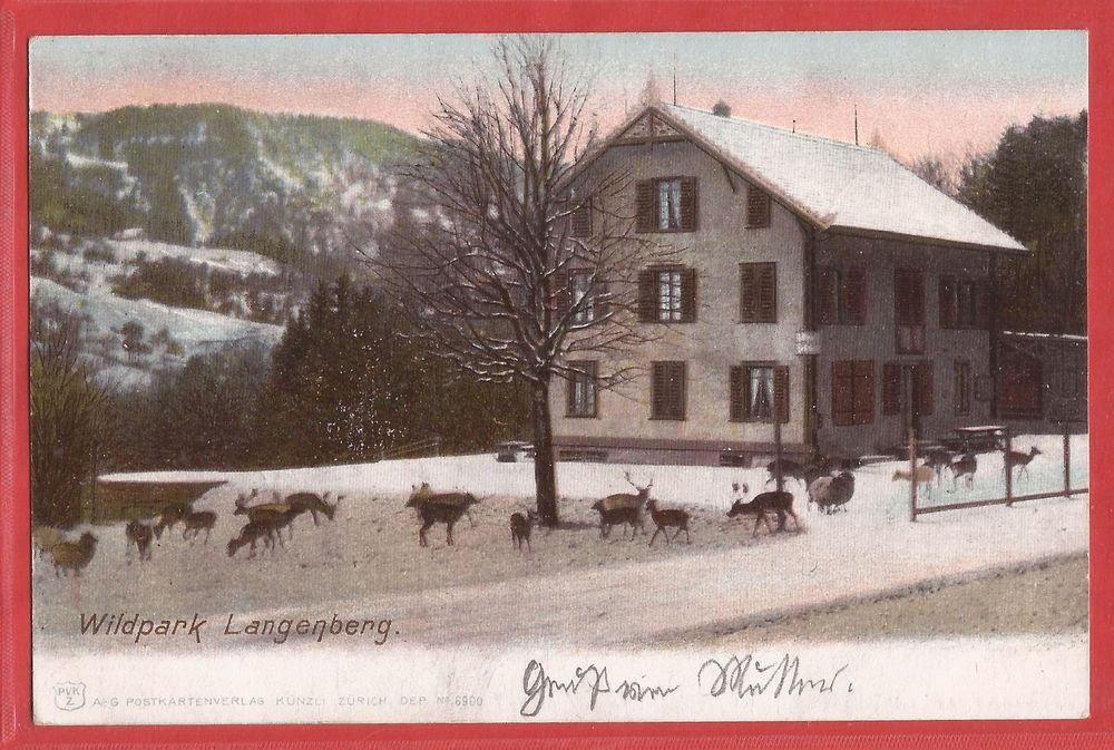 Wildpark Langenberg Bei Langnau Am Albis Und Adliswil 1902 | Kaufen Auf ...