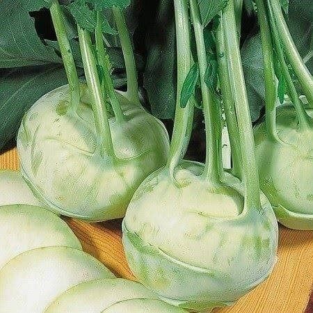 Piante & sementi: CHOU-RAVE BLANC DELICATES  50g – Nuovo (secondo la descrizione) da Bremblens venduto da FIBONACCI369 1