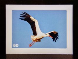 MIGROS MANIA Nature Detectives Nr. 50