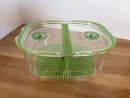 Kunststoff Behälter für Snaks / Gemüse / Beeren