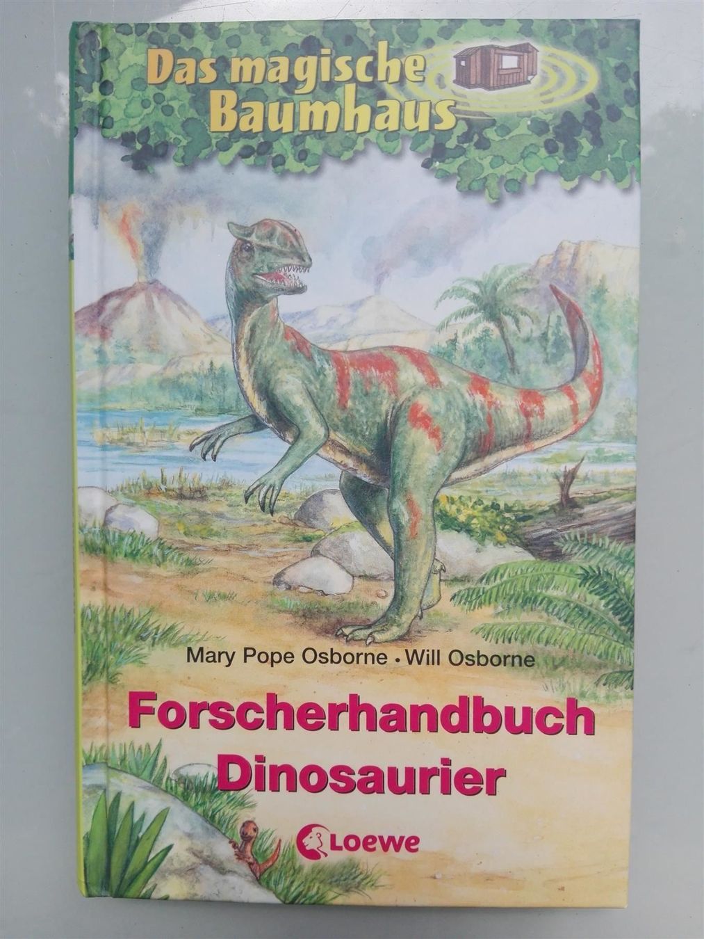 Libri: Forscherhandbuch Dinosaurier (Loewe) – Usato da St.Gallen venduto da elk2023