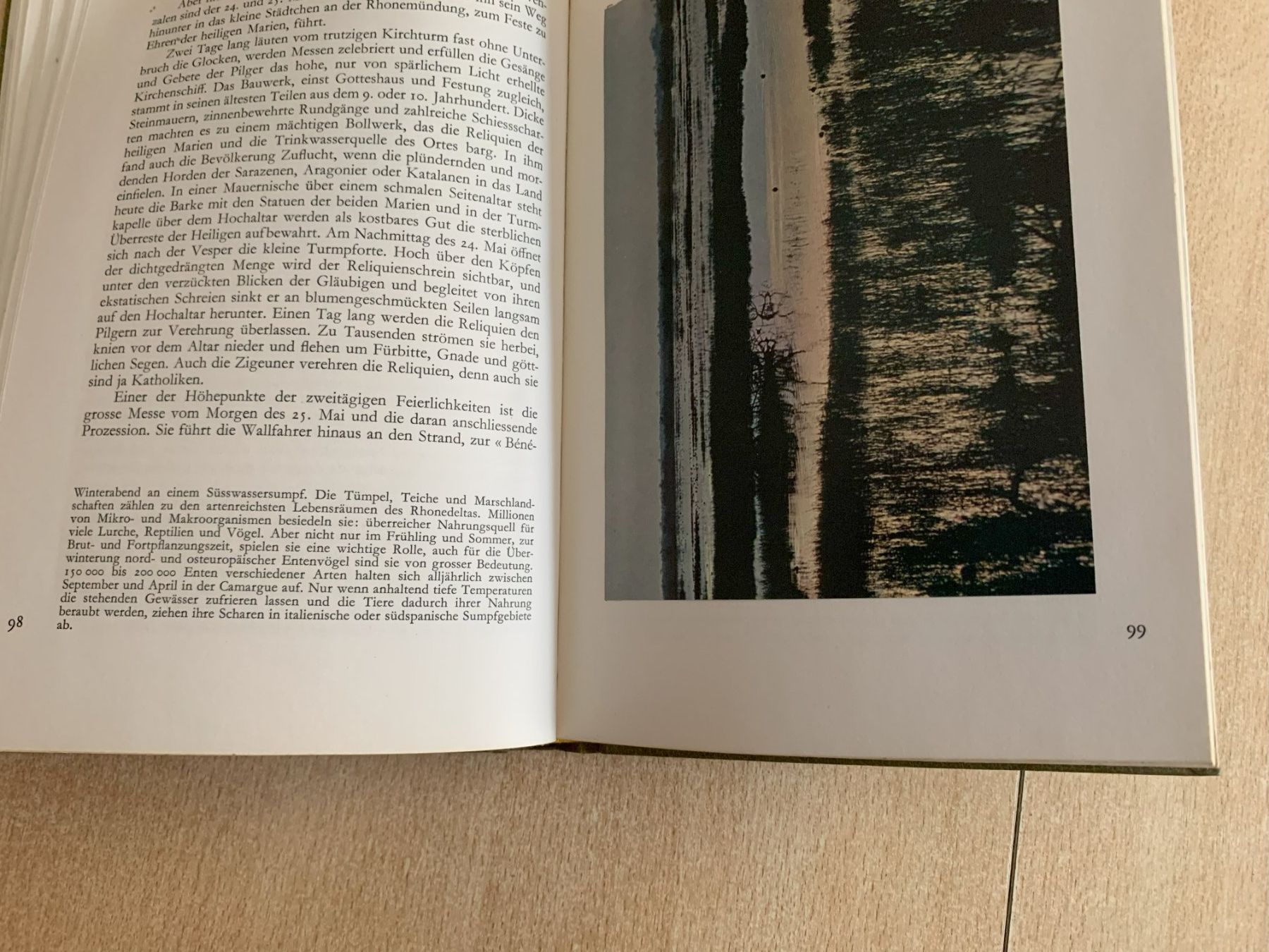 Livres: Camarque Avanti Verlag – D'occasion à Reinach BL par con_ync2 6
