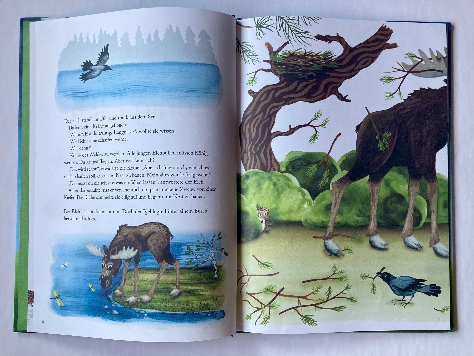 Livres: Bilderbuch: König Elch – Neuf (Voir description) à Bubendorf par Alpenheidi 4