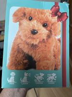 Hund neu