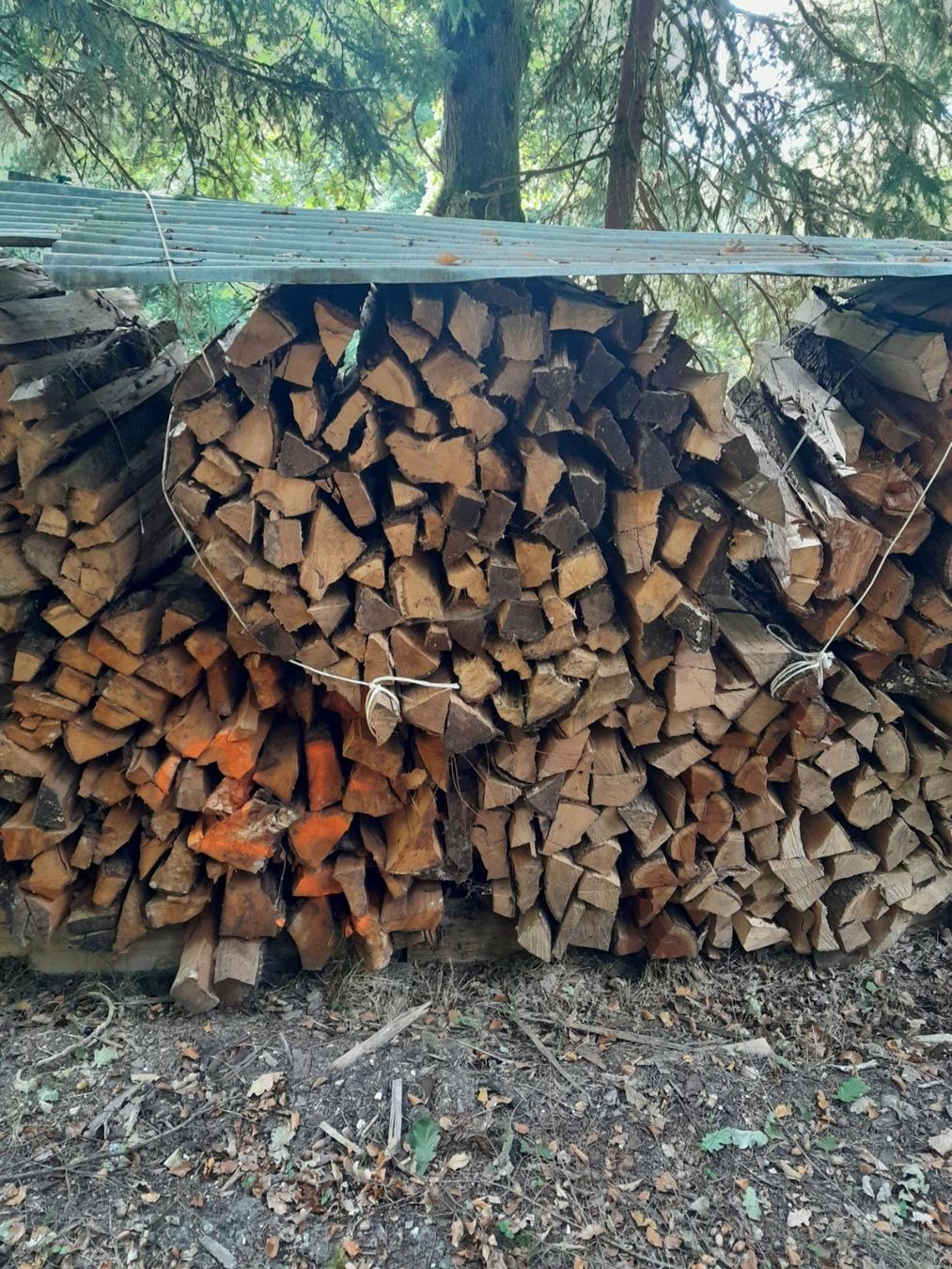 Holzartikel: Brennholz gemischt – Gebraucht aus Inkwil von karlheinz07 1