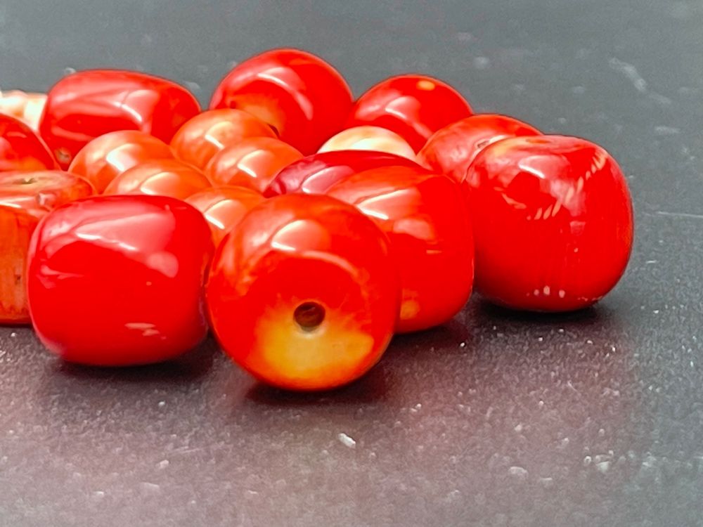 Rejopfad Korallen-Frag-Stecker 60 Stück - Stecker Mit Sockel Für Aquarium & Riffbecken