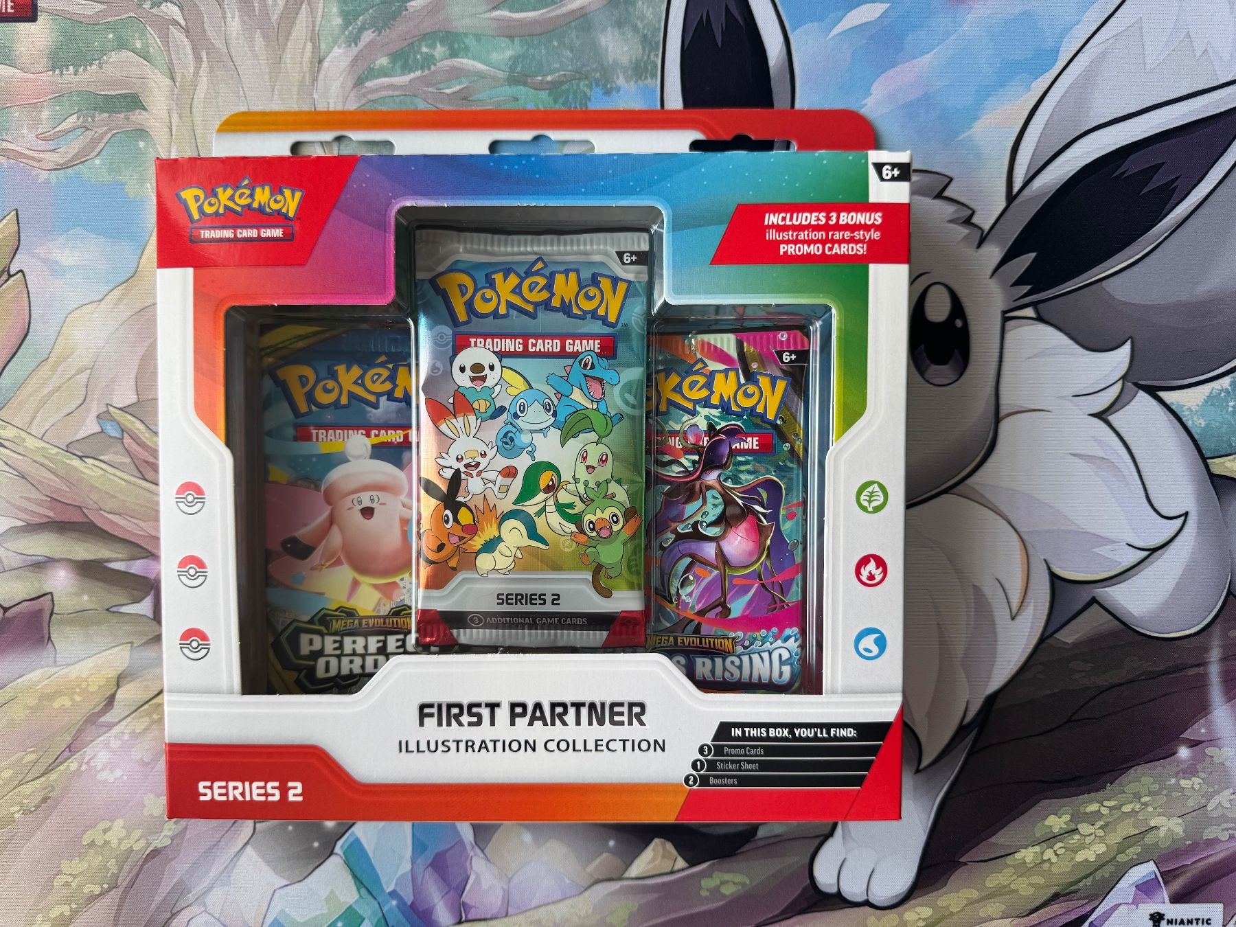 Pokémon Carte collezionabili: Pokémon First Partner Series 2 EN Sealed OVP – Nuovo e nell'imballaggio originale da Oberwil BL venduto da Chelsea26