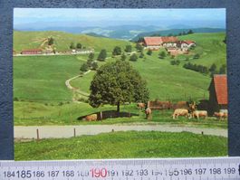 OBER-BÖLCHEN BERGHAUS BEI EPTINGEN HÄRING KUHHERDE BL AK