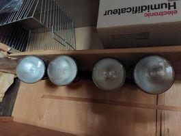 4 Garten  Spotlampen