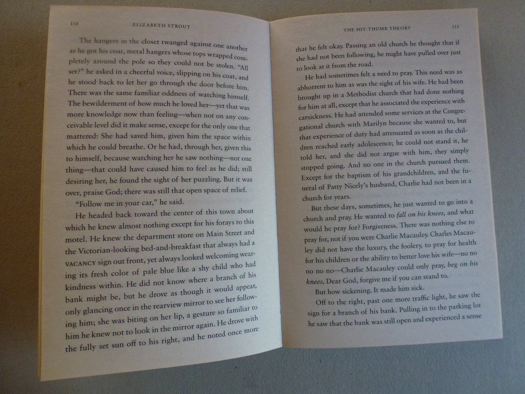 Bücher: Anything is Possible - Elizabeth Strout – Gebraucht aus Mühlrüti von Dadadachs 7