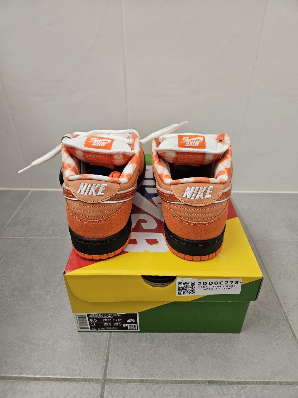 Nike Scarpe da uomo: Nike SB Dunk low concepts Orange Lobster – Nuovo e nell'imballaggio originale da camorino venduto da abenzo 4