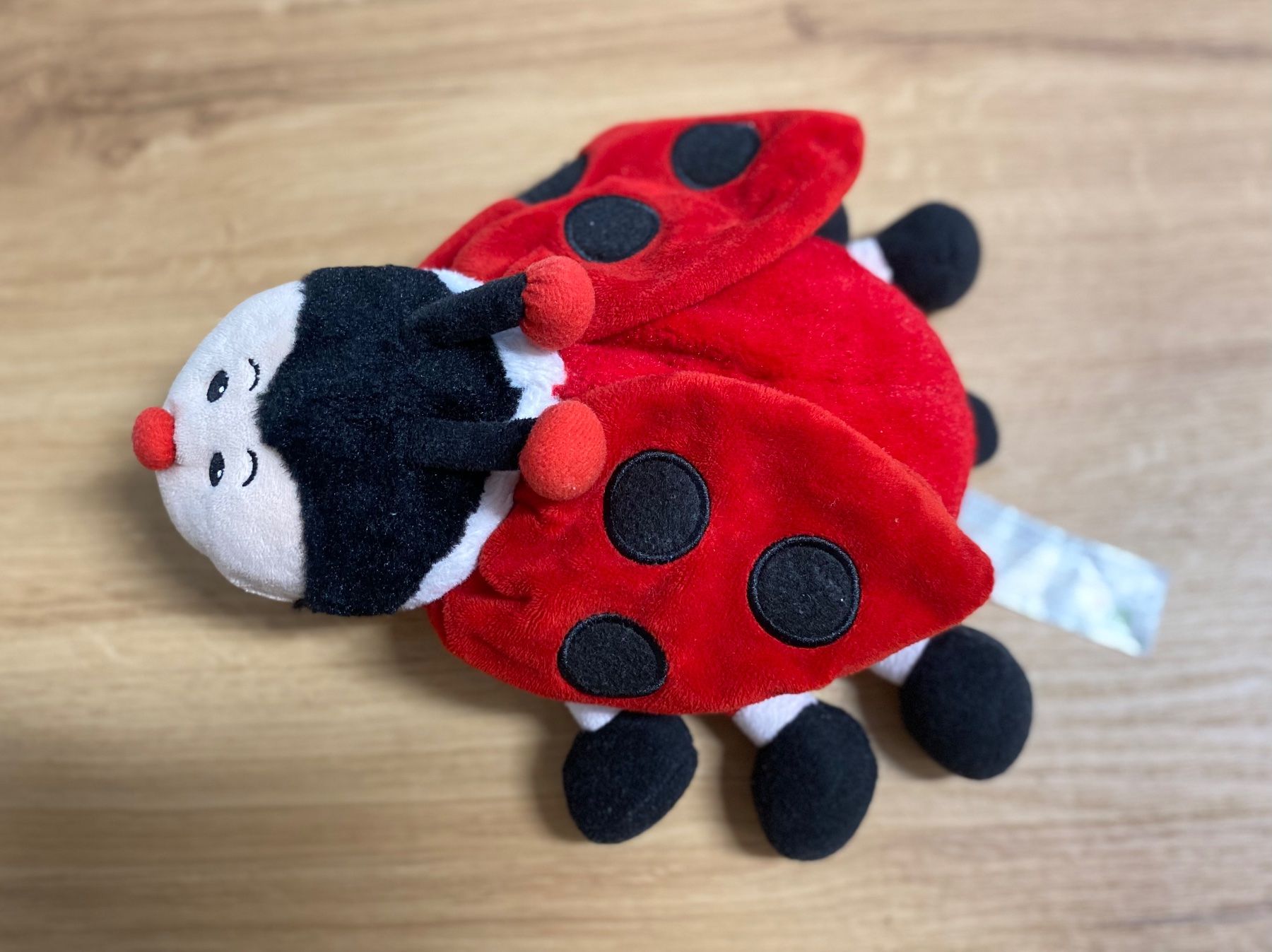 Warmies Spielzeuge: Warmies® "Marienkäfer" – Neu (gemäss Beschreibung) aus Bargen SH von Sandra_Giuliano 1