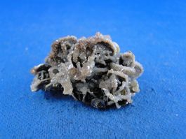 Wulfenit mit Calcit und Quartz