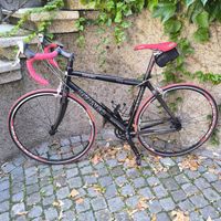 Sonntags-Rennrad