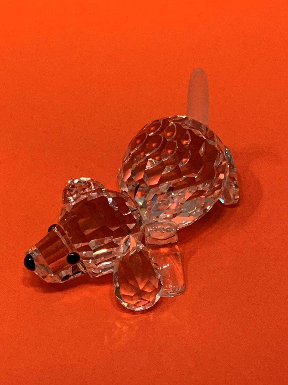 Swarovski Statuette: Swarovski Hund – Nuovo (secondo la descrizione) da Oberglatt ZH venduto da Multimix